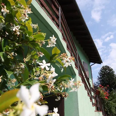 Lago Maggiore * Dormelletto