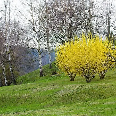 Lago Maggiore * Dormelletto